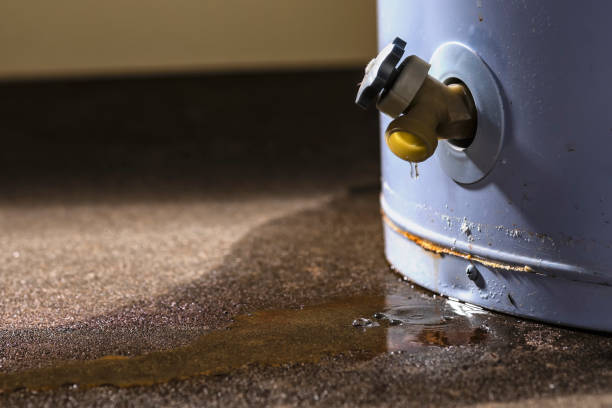 Best Local water damage restoration  in Glen Rose, TX