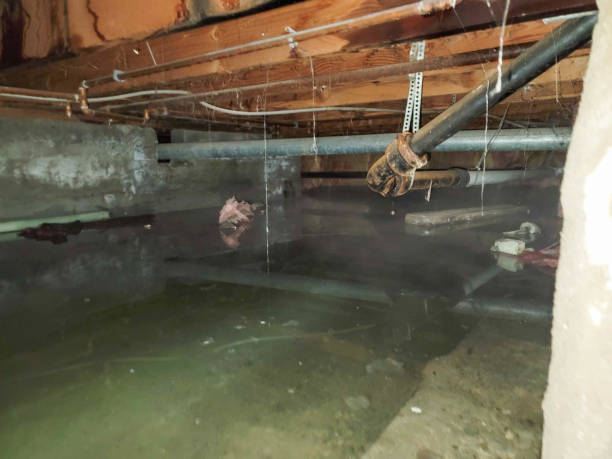 Best 24/7 water damage repair  in Glen Rose, TX