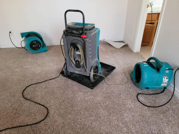 Best Ceiling water damage repair  in Glen Rose, TX