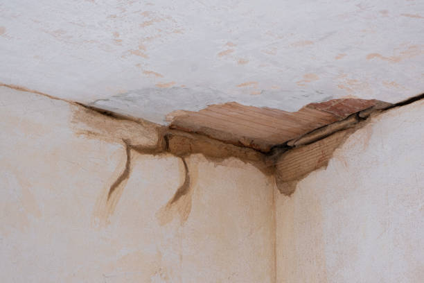 Best Sewage cleanup and water damage restoration  in Glen Rose, TX