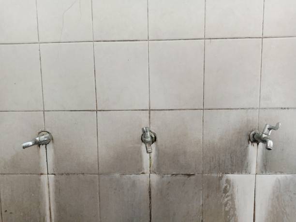 Best Professional water damage repair  in Glen Rose, TX