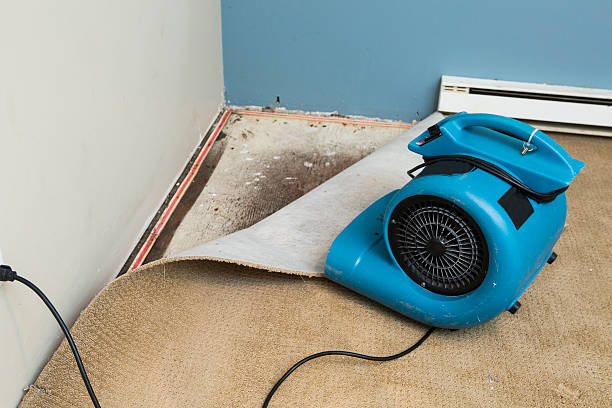 Best 24-hour water damage restoration  in Glen Rose, TX